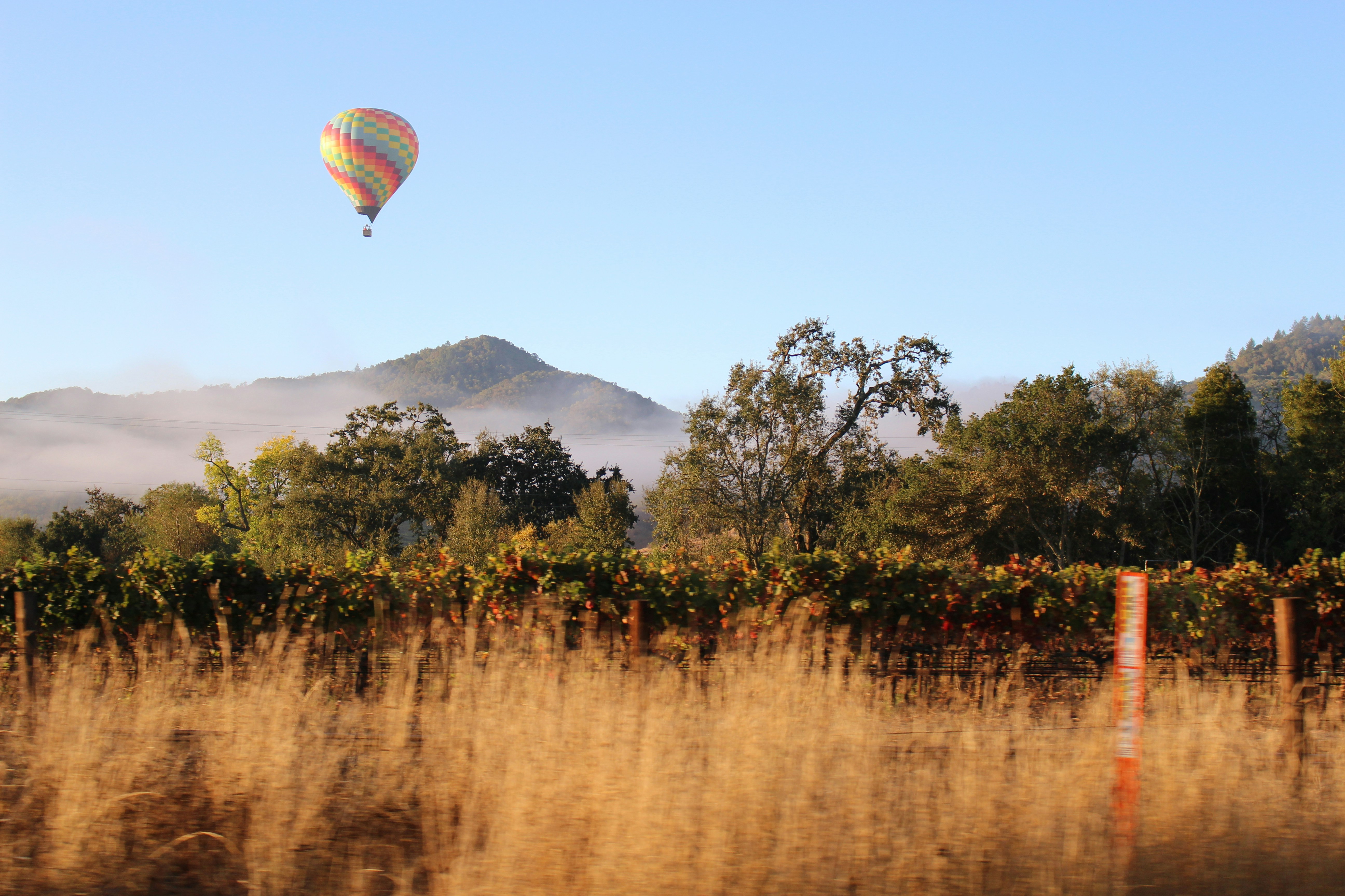 Wine Country